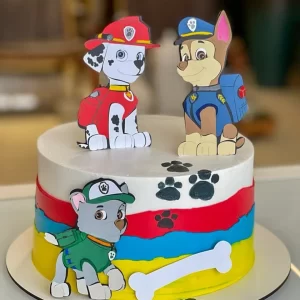 Festa Topo de Bolo Patrulha Canina Studio