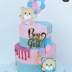 Festa Topo Chá Revelação Ursinhos Studio