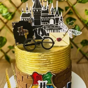Festa Topo de Bolo Harry Potter Studio