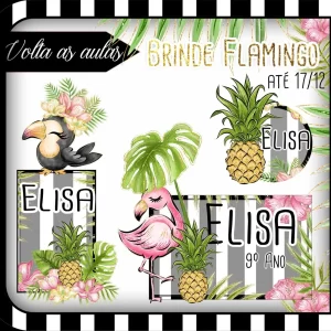 Etiqueta Escolar Flamingo Studio e Png