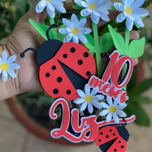 Festa Topo de Bolo Joaninha Studio