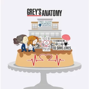 Festa Topo Bolo Greys Anatomy Studio