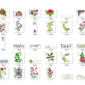 Matrizes de Bordado Flores E Rosas